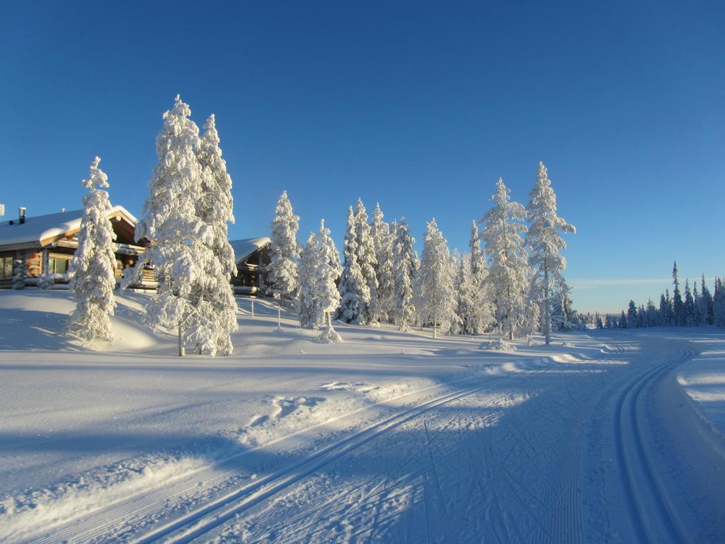 Rukakaiku Cottages Rum bild